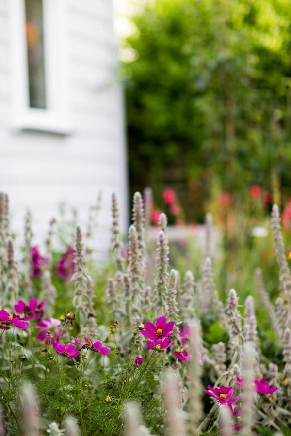 Coghill Cottage 휘티앙가 외부 사진